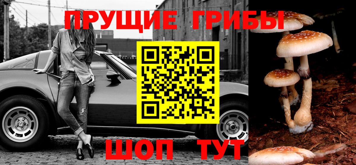 Советский  где найти наркотики  Вход с VPN  Псилоцибиновые грибы мухоморы 